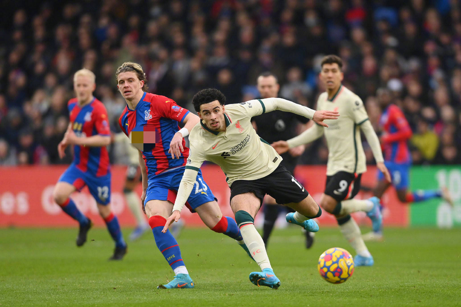 数月的双线 数月的双线