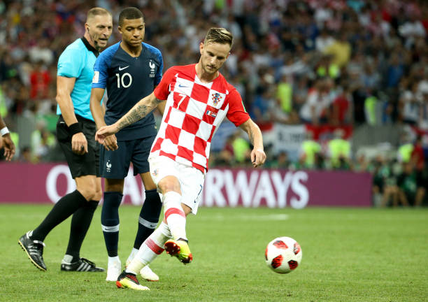 冈山绿雉的 冈山绿雉的